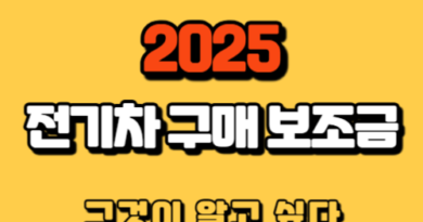 2025-전기차-구매-보조금